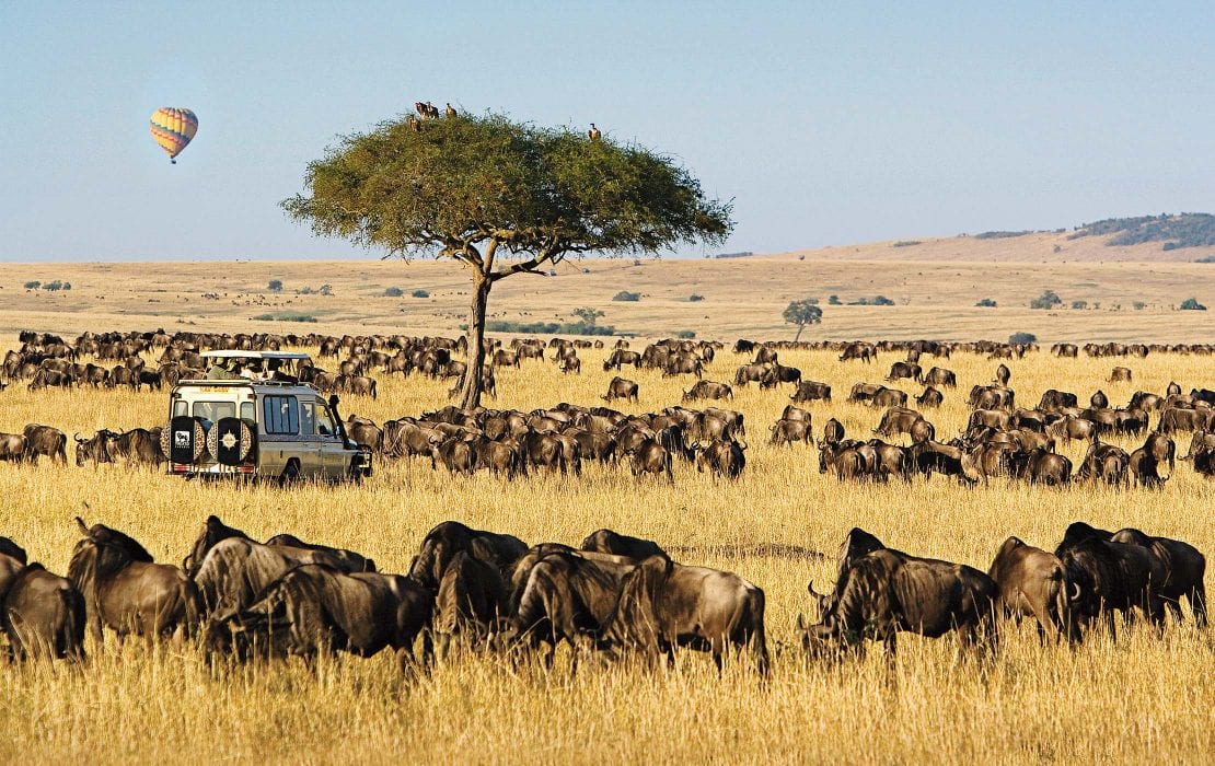 Wha to pack for 10 Days Tanzania safari vacation
